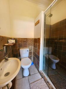 拉塞利亞的住宿－Pine Valley，浴室配有卫生间、盥洗盆和淋浴。