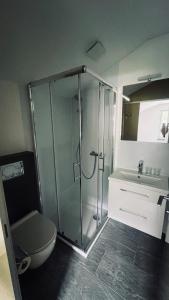 uma casa de banho com um chuveiro, um WC e um lavatório. em Hotel Péz Ault em Disentis