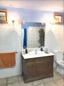 a bathroom with a sink and a toilet and a mirror at 6 bedrooms house with private pool and enclosed garden at Burguillos de Toledo in Burguillos de Toledo