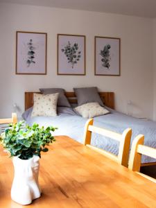 ein Schlafzimmer mit einem Bett und einem Tisch mit einer Topfpflanze in der Unterkunft Cheyf Modern Studio in Center in Sarajevo