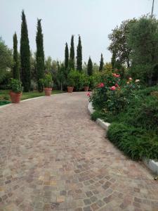 Vonkajšia záhrada v ubytovaní Luxury Villa Spaccasole su Cortona - Sauna & Infinity Pool
