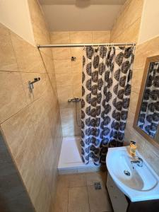 ein Bad mit einer Dusche und einem Waschbecken in der Unterkunft Kwatery u Jarka in Jelenia Góra