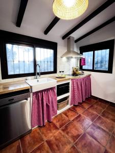 a kitchen with a sink and a counter with windows at Alojamiento Rural Viña El Labrador in Andújar