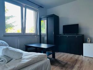 - une chambre avec un lit et une table avec une télévision dans l'établissement Nad Grajcarkiem - Pensjonat, à Szczawnica
