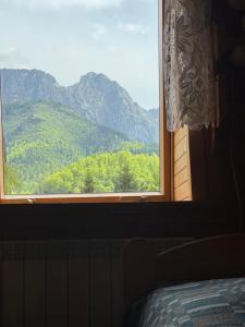 une fenêtre de chambre avec vue sur une montagne dans l'établissement Pokoje Regle 30, à Zakopane 16 autres photos