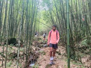 un hombre de pie en un sendero en el bosque de bambú en Mama Gia Homestay, en Sa Pa