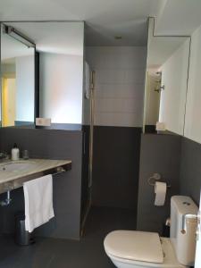 アジャリスにあるPensión rural Pallabarroのバスルーム(トイレ、洗面台、鏡付)
