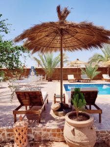 eine Terrasse mit einem Sonnenschirm und Stühlen sowie einem Pool in der Unterkunft Zagora Oasis Lodge in Zagora