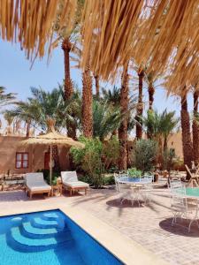 ein Resort mit einem Pool und Palmen in der Unterkunft Zagora Oasis Lodge in Zagora