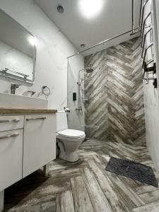 a bathroom with a toilet and a shower at Apartments Pushkin Street in Yerevan