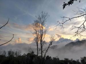 Foto sihtkohas Urrao asuva majutusasutuse A ver Aves, mágico lugar. galeriist