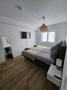 1 dormitorio con 1 cama grande y espejo en Moderne Wohnung am Rhein, en Coblenza