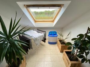 a attic room with plants and a skylight at FeWo Skywalk Willingen in Stryck
