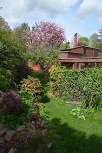 um jardim com flores cor-de-rosa e uma casa em Rotes Kreativ-Ferienhaus em Bad Lausick