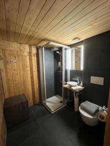a bathroom with a shower and a toilet and a sink at Haus Bergmann in Boltigen