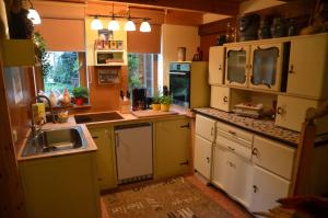 uma cozinha com armários verdes e brancos e um lavatório em Rotes Kreativ-Ferienhaus em Bad Lausick
