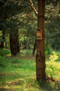 صورة لـ Dom na Mazurach nad jeziorem Isąg Pora Jeziora في Pelnik