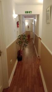 un corridoio con una pianta al centro di una stanza di Bundoran Guesthouse a Bundoran