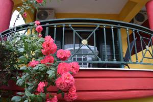 Gallery image of Fotini's Studios 2 in Toroni