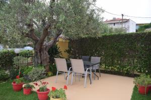 Gallery image of Fotini's Studios 2 in Toroni