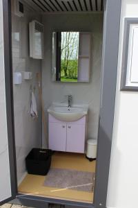 a small bathroom with a sink and a mirror at Camping pod Lyts Dekema 1 in Baard