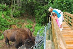 Gallery image of Seaboard Coast Line 0843 sleep in a caboose on a bison ranch in Clyde +35 photos