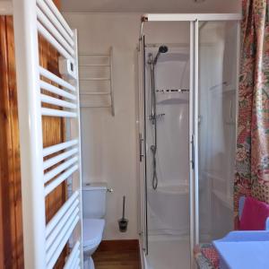 y baño con ducha y aseo. en Le Dy en fleurs en Saint-Maurice-en-Cotentin