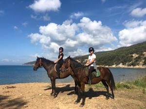 Tetamu yang menginap di Agriturismo Bio Podere 109 - Wine&Food