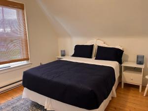 a bedroom with a large bed with blue sheets and a window at OH Victoria Hotel - Red Beard Suite 2B 2BTH in Hampton 
