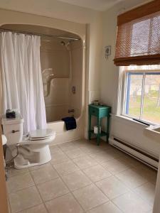 a bathroom with a toilet and a shower and a sink at OH Victoria Hotel - Red Beard Suite 2B 2BTH in Hampton 