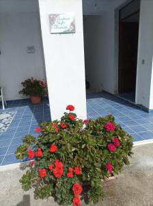 Un mazzo di fiori rossi in un vaso vicino a un edificio. di AS Villetta Giardino degli oleandri a Palinuro