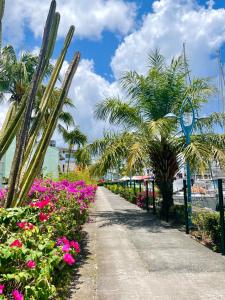 a walkway with pink flowers and palm trees at Appartement Belbo de la Marina in Les Trois-Îlets