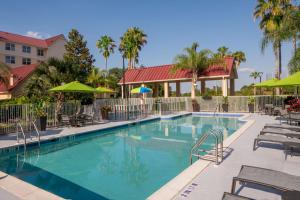 uma piscina com cadeiras e guarda-sóis num resort em SpringHill Suites by Marriott Orlando Convention Center em Orlando