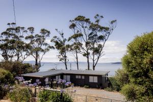 a house with a view of the water at 'Lazy Susan's' Waterfront Shack in Primrose Sands