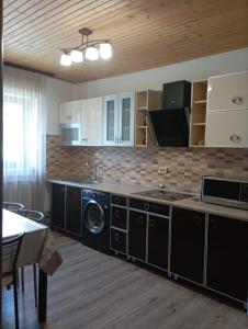 una cucina con lavatrice e asciugatrice in camera di U Anastasii i Sofii bilya richki a Mykulychyn