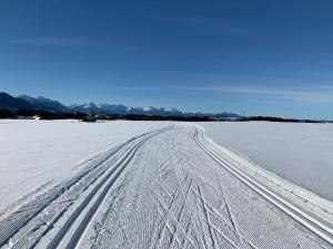 a snow covered road with tire tracks in a field at Privat Pension an der Klosterpforte Steingaden in Steingaden +12 photos