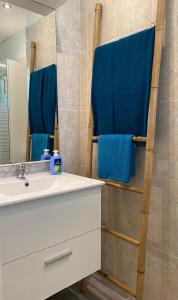 uma casa de banho com um lavatório, um espelho e toalhas azuis em Studio Jardin Fleuris Parking em Nice