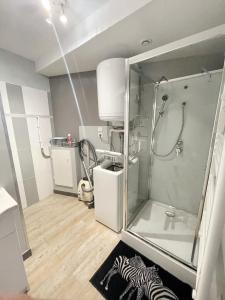 uma casa de banho com um chuveiro e uma porta de vidro em Appartement d'une chambre avec terrasse amenagee a Prats de Mollo la Preste em Prats-de-Mollo-la-Preste