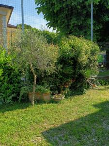 Zahrada ubytování B&B Porte Rosse