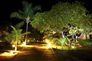 Pousada Bichelenga في ايمباسّاي: حديقة في الليل مع أشجار النخيل والأضواء
