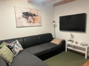 ein Wohnzimmer mit einem Sofa und einem Flachbild-TV in der Unterkunft Bella Mura Nature House I26 in Podčetrtek