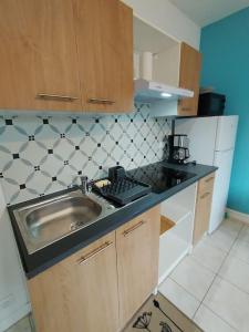 een keuken met een spoelbak en een aanrechtblad bij appartement 2 Pièces in Limoges