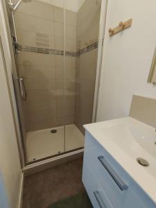 een badkamer met een douche en een witte wastafel bij appartement 2 Pièces in Limoges