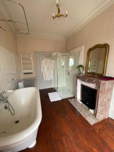 ein Bad mit einer Badewanne und einem Kamin in der Unterkunft Chambre de Princesse avec Grande Salle de Bain in Blet + 15 Fotos