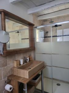 La salle de bains est pourvue d'un lavabo et d'une douche en verre. dans l'établissement Fontevraud Les Chambres, à Fontevraud-l'Abbaye