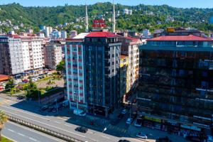 eine Luftaufnahme einer Stadt mit Gebäuden und einer Straße in der Unterkunft Hotel Milano in Rize