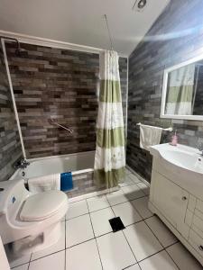 a bathroom with a toilet and a tub and a sink at Cabañas Español Coyhaique in Coihaique +83 photos