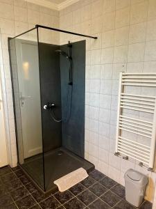 eine Dusche mit Glastür und ein WC im Bad in der Unterkunft Airport Jazmin Guesthouse in Vecsés