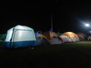a group of tents in a field at night at GUREZ CAMPSITE- WILDWOOD in Kanzalwan