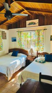 sypialnia z 2 łóżkami i oknem w obiekcie Mal Pais Surf Camp w mieście Playa Santa Teresa